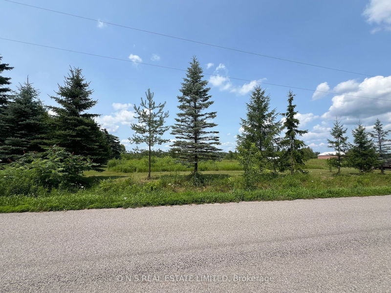 1784 7th Line  Smith-Ennismore-Lakefield, K9J 6X5 | Image 4