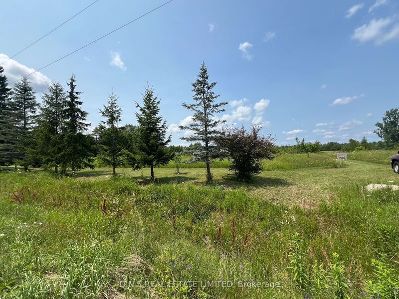 1784 7th Line  Smith-Ennismore-Lakefield, K9J 6X5 | Image 5