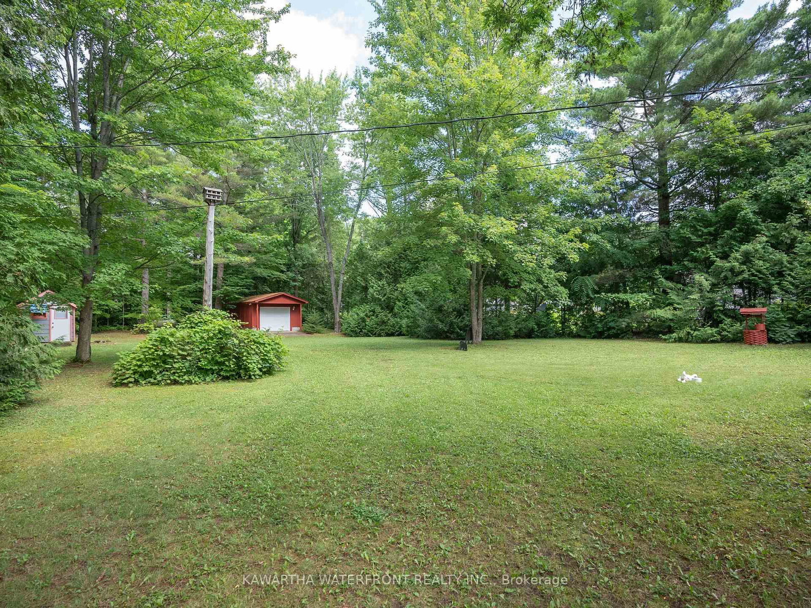 Listing Image 7