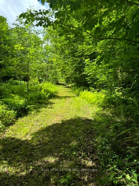 Vacant Land sold at 0 PT LT 26 CON 3, Highlands East, K0M 1R0 - MLS: X9045257