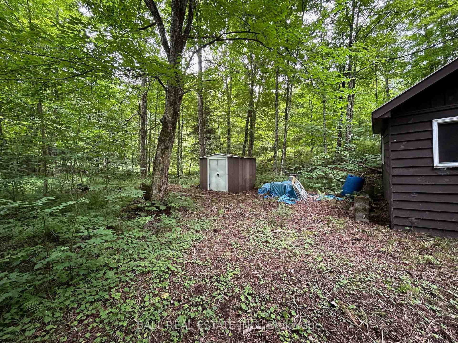 Listing Image 7