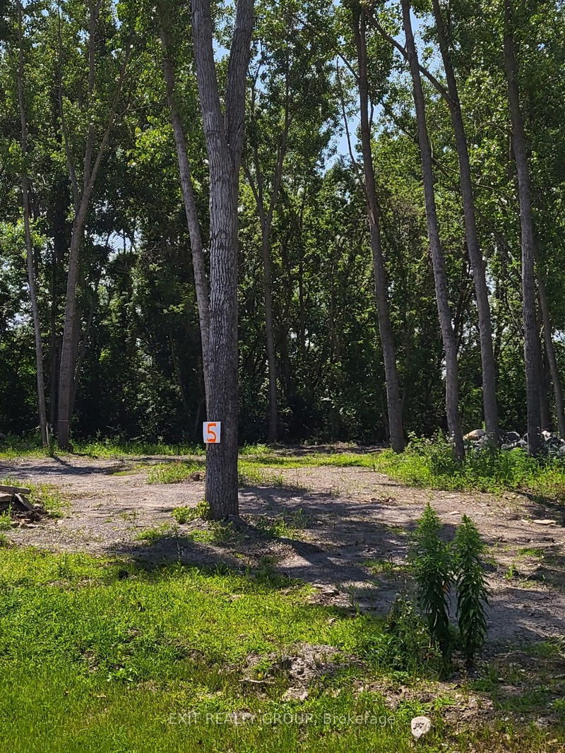 Lot 5 Hennessy St  Prince Edward County, K8N 4Z7 | Image 5