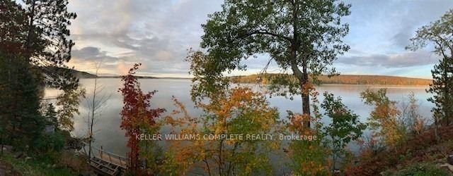 2830 Papineau Lake Rd  Hastings Highlands, K0L 2R0 | Image 7