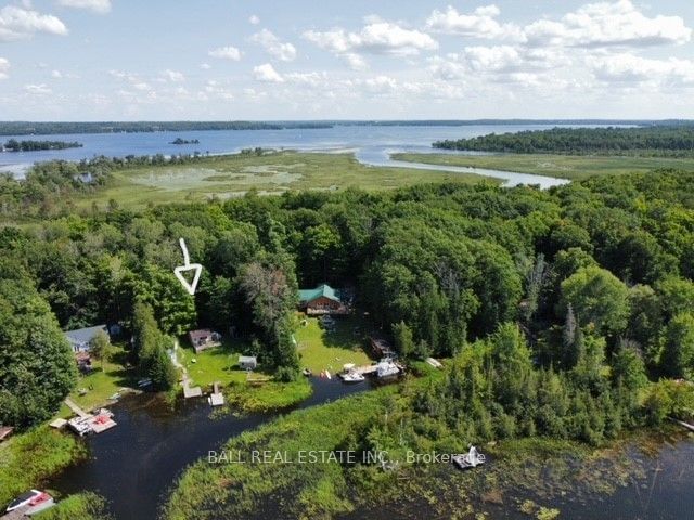 66 Dewey's Island   Kawartha Lakes, K0M 1N0 | Image 1