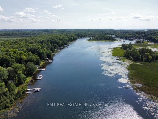 66 Dewey's Island   Kawartha Lakes, K0M 1N0 | Image 3