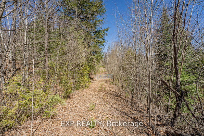 3349 Deep Bay Rd  Minden Hills, K0M 2K0 | Image 1