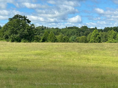 PT LT 7 Brook Road — photo 6