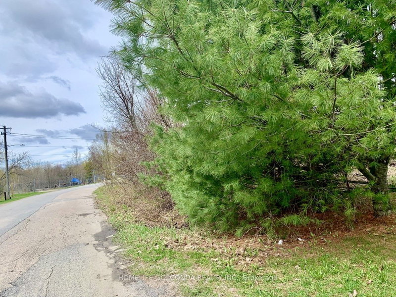 195 Nelson St, Gravenhurst, P1P 1K7 | Image 3