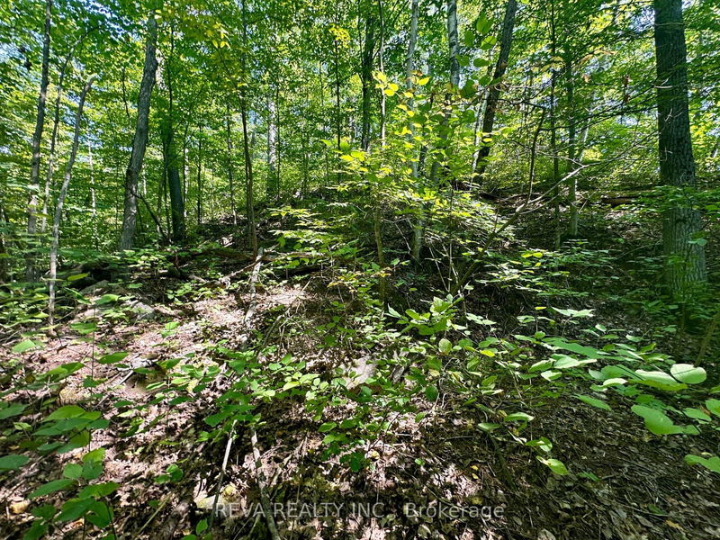 0 South Baptiste Lake Rd  Hastings Highlands, K0L 1C0 | Image 14