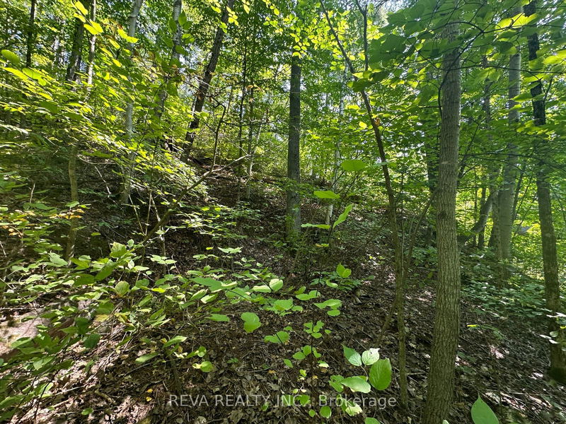 0 South Baptiste Lake Rd  Hastings Highlands, K0L 1C0 | Image 15