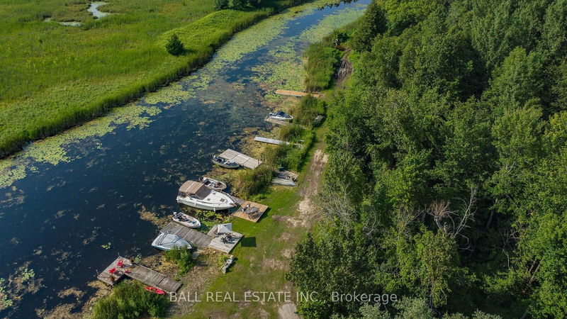 84 Cedarview Dr  Kawartha Lakes, K0L 2W0 | Image 28