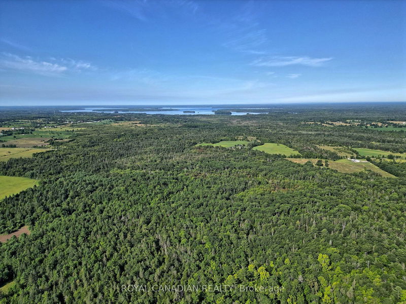 1058 Northline Rd  Kawartha Lakes, K0M 1K0 | Image 5