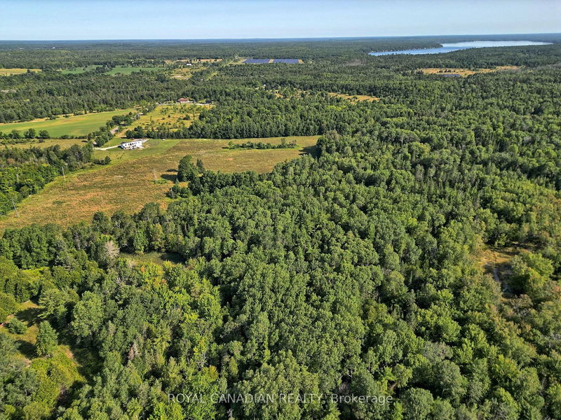 1058 Northline Rd  Kawartha Lakes, K0M 1K0 | Image 6