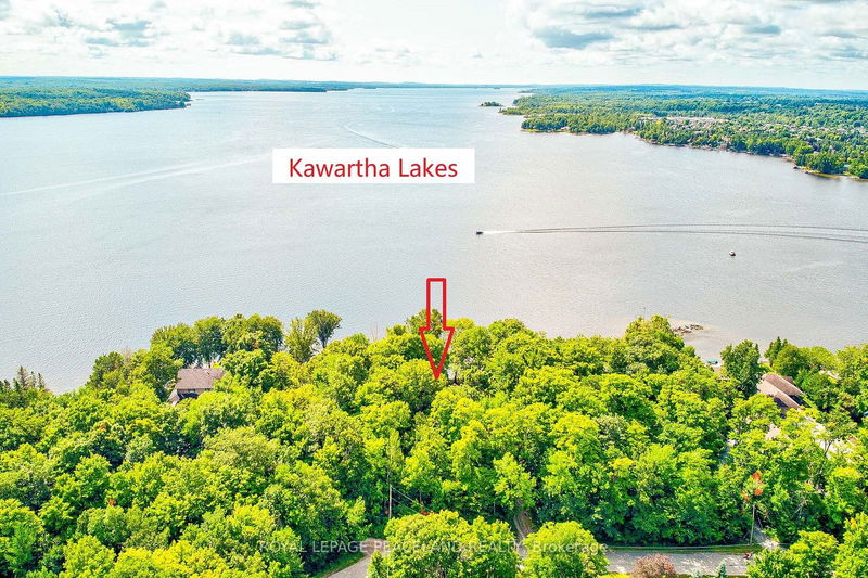 317 Riverside Dr  Kawartha Lakes, K0M 1A0 | Image 1