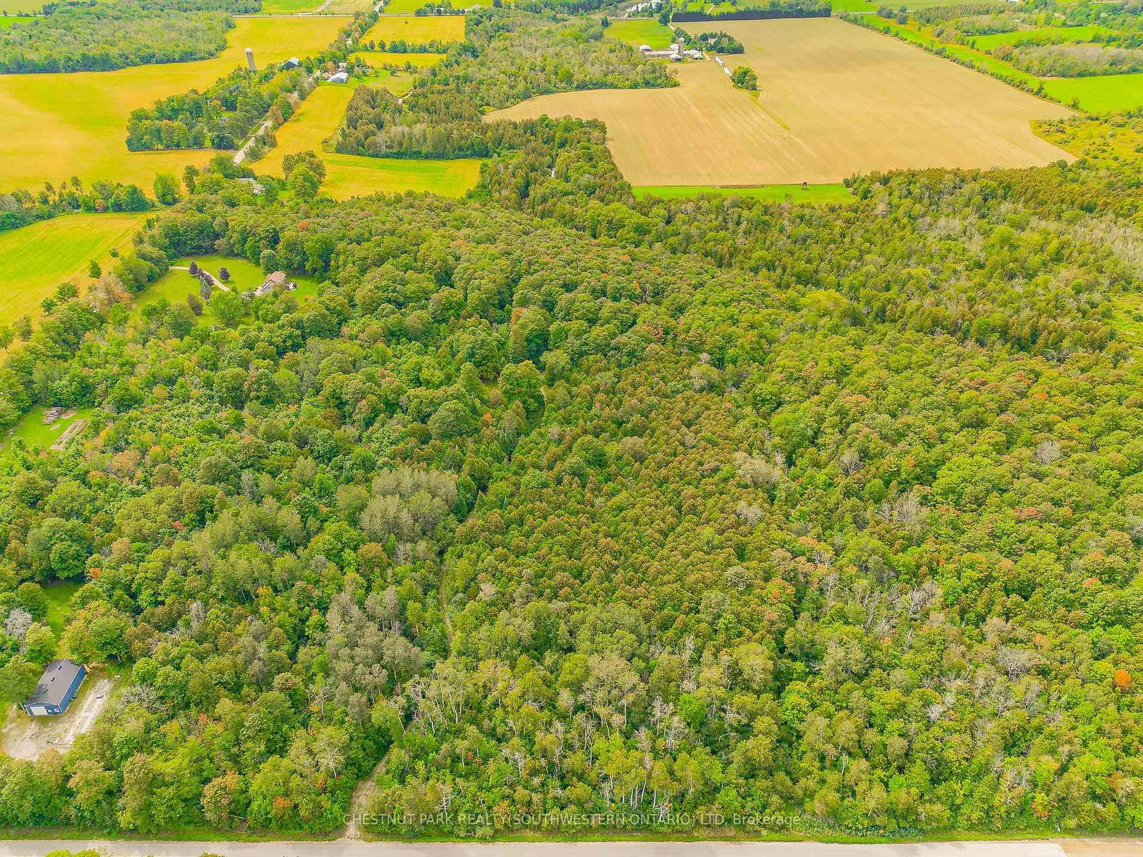 Listing Image 15