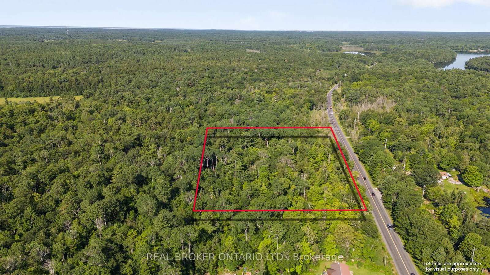 Listing Image 2