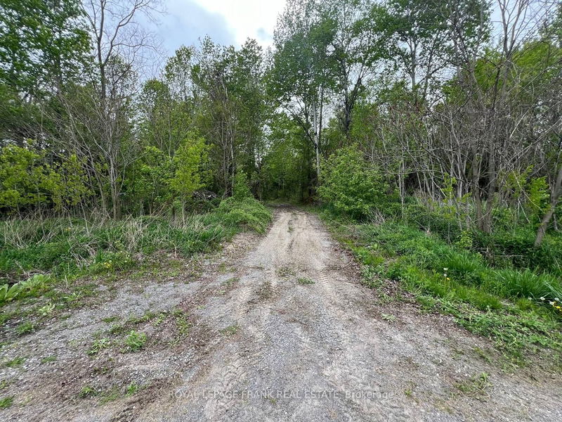 . Rutherford Rd  Alnwick/Haldimand, K0K 1S0 | Image 11