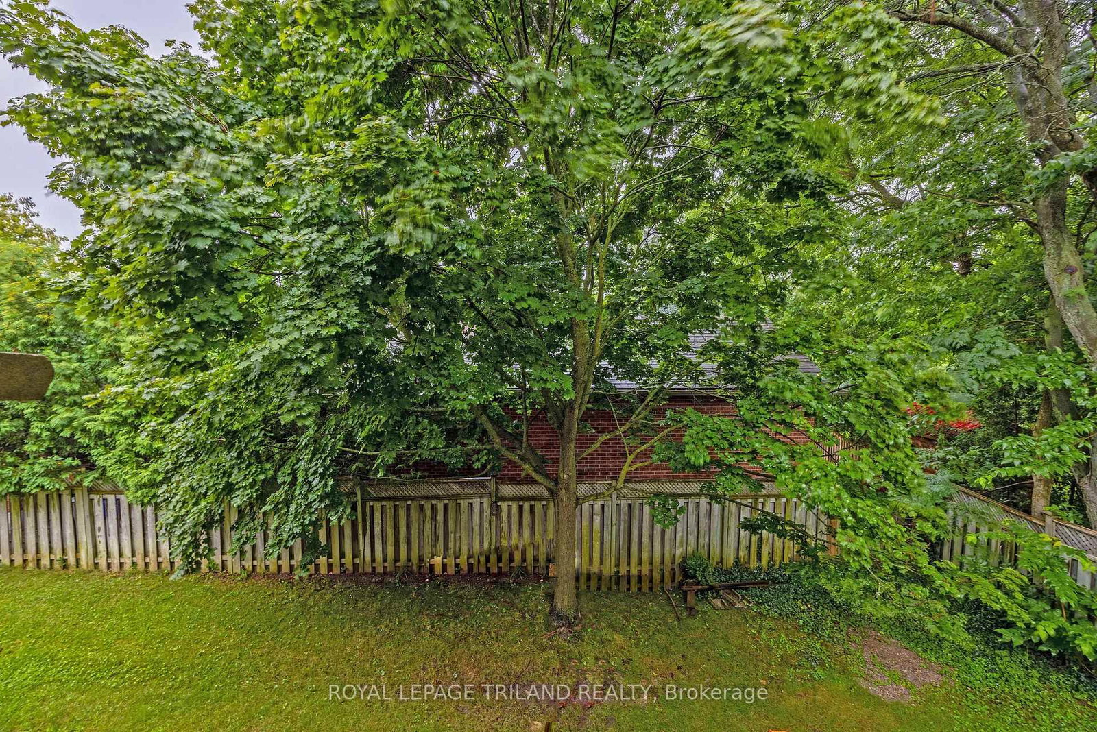 Listing Image 37