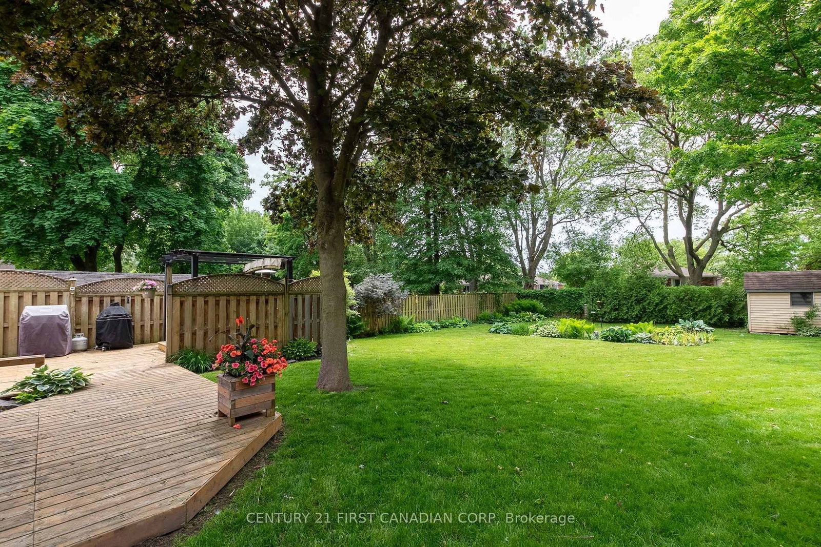 Listing Image 32