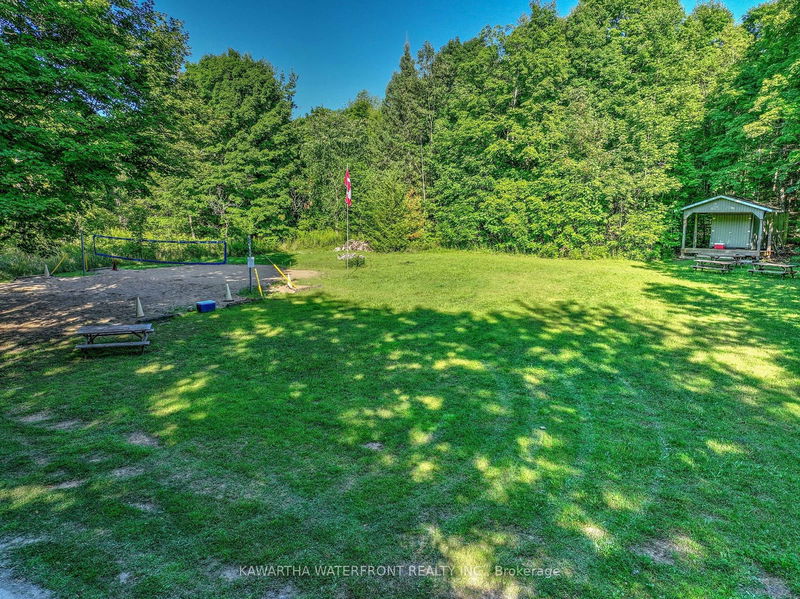 167 Sunset Beach Rd  Kawartha Lakes, K0M 2B0 | Image 25