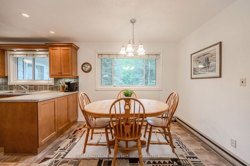 30 Matheson Rd  Kawartha Lakes, K0M 2T0 | Image 9