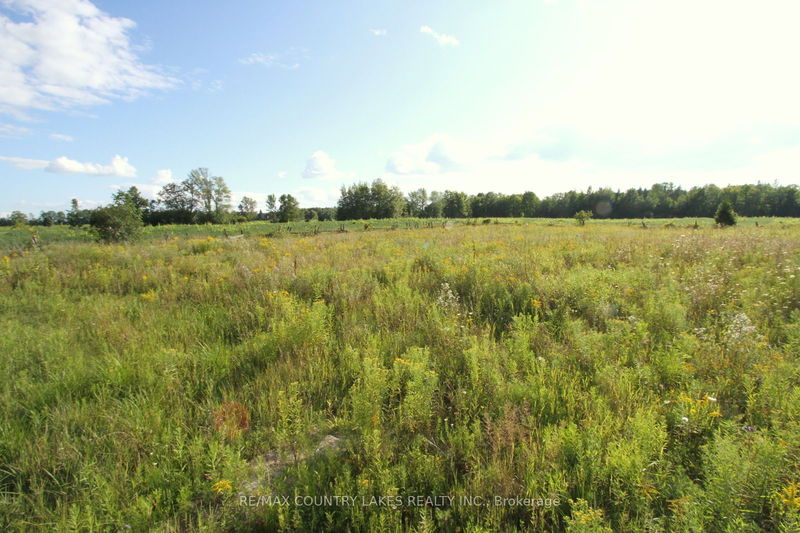 Lt 22 Kirkfield Rd  Kawartha Lakes, K0M 2B0 | Image 17