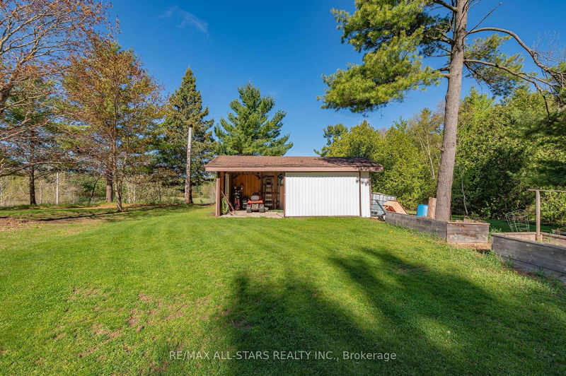 3374 Elm Tree Rd  Kawartha Lakes, K0M 2T0 | Image 35