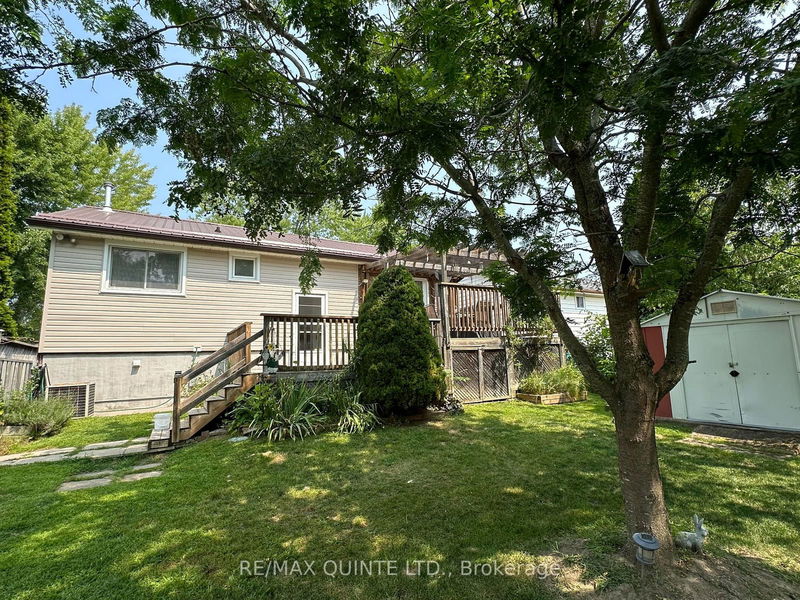 233 Ireton St  Trent Hills, K0L 1L0 | Image 13