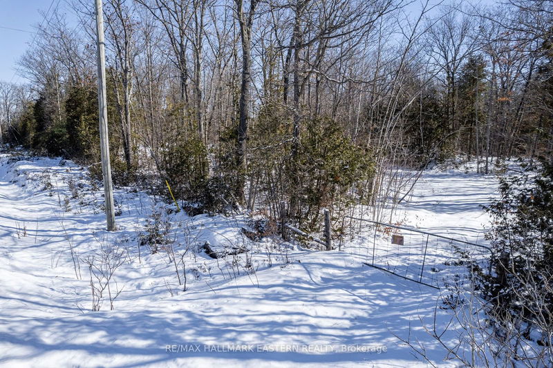 0 Hwy 28   Smith-Ennismore-Lakefield, K0L 2H0 | Image 4