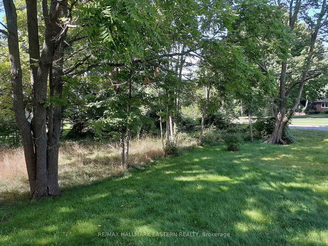 227 A Queen Street