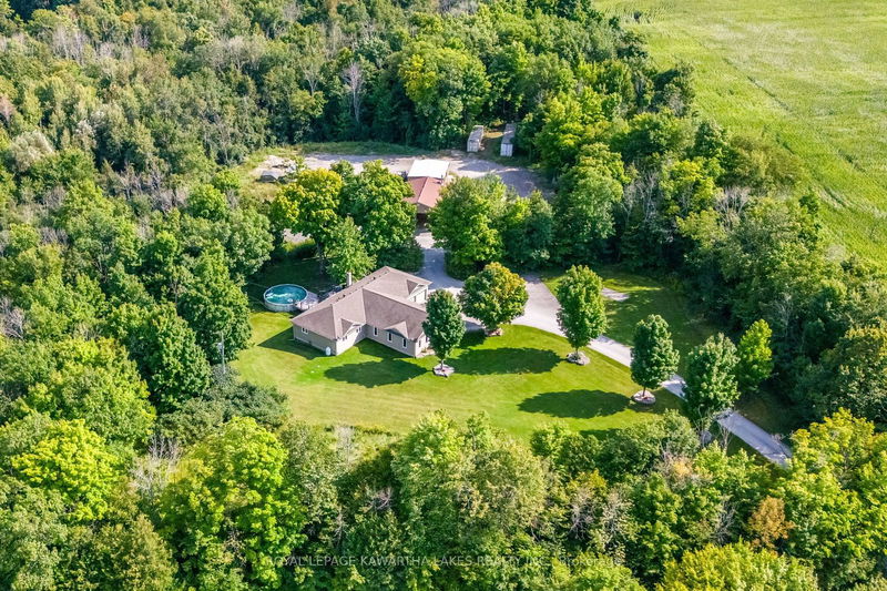 150 Wrenhaven Rd  Kawartha Lakes, K0M 1N0 | Image 1