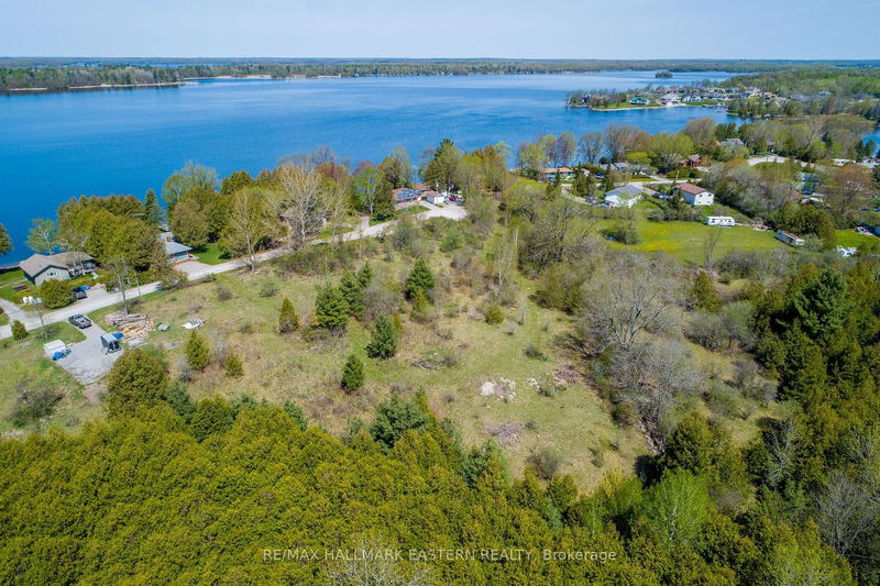  Pinehurst Ave  Smith-Ennismore-Lakefield, K0L 2H0 | Image 2