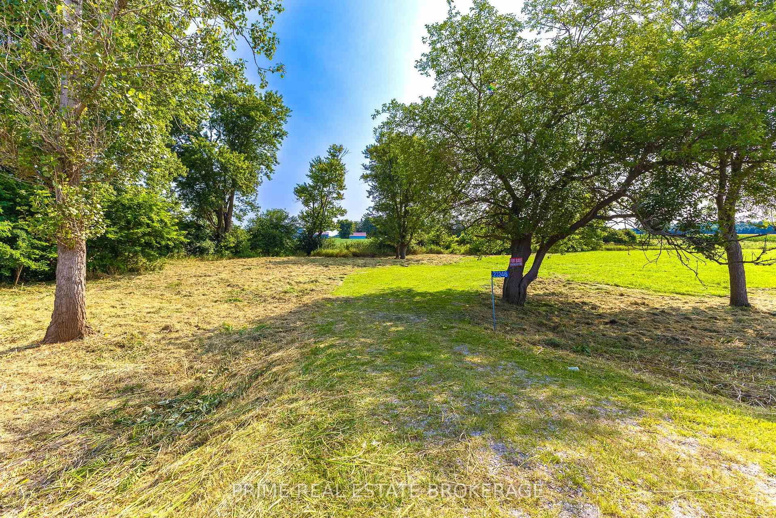 Listing Image 7