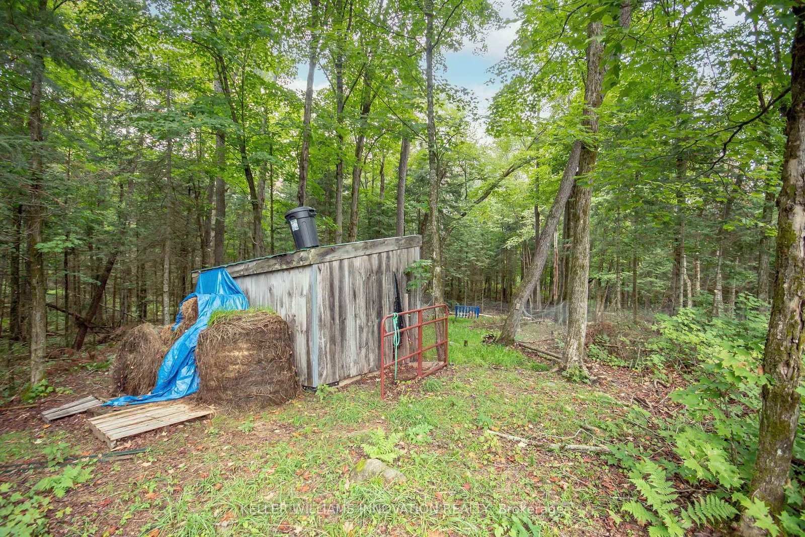 Listing Image 9
