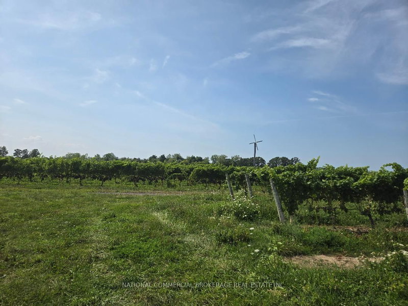 310 Eastchester Ave, Niagara-on-the-Lake, L0S 1J0 | Image 3