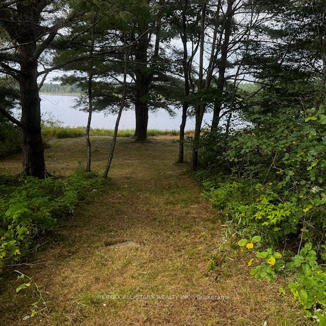  Sandy Lake Rd  Havelock-Belmont-Methuen, K0L 1Z0 | Image 5