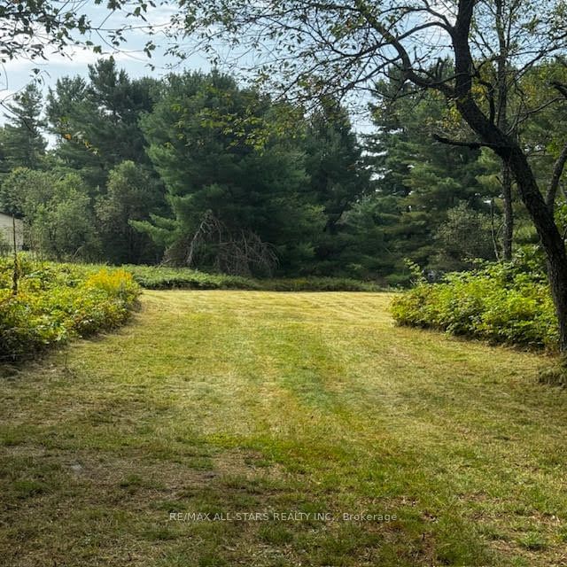  Sandy Lake Rd  Havelock-Belmont-Methuen, K0L 1Z0 | Image 6