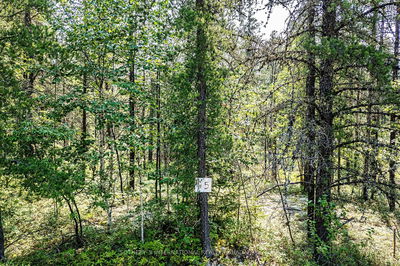 Lot 7 Munro Lake Rd, Cochrane Remote Area -  image-0-4