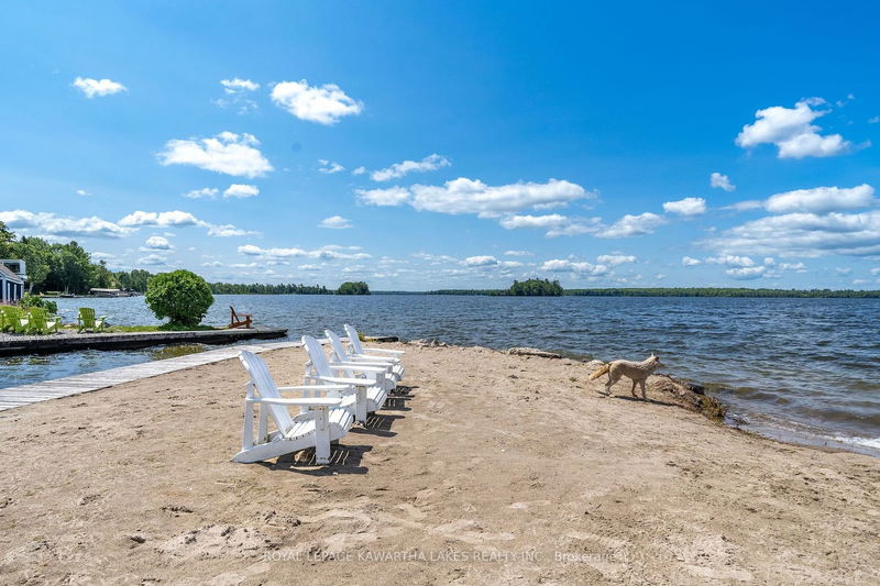 79 Rosedale Tr  Kawartha Lakes, K0M 1N0 | Image 32