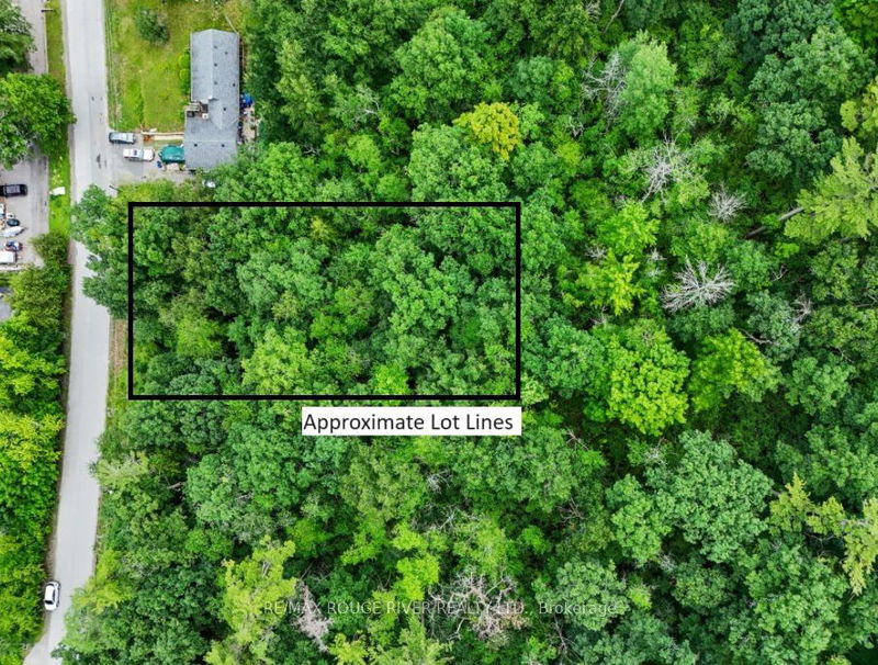 Lot 28 Bamsey Dr  Hamilton Township, K0L 1E0 | Image 5