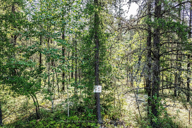 Lot 12 Munro Lake Rd, Cochrane -  image-0-0