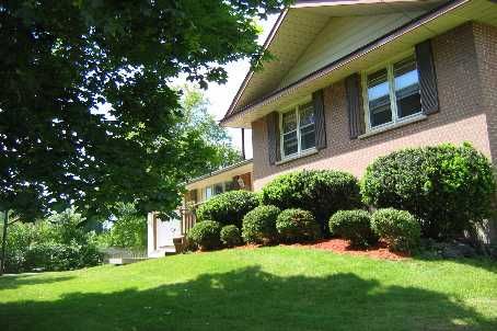 704 Owen Sound St, Shelburne, L0N1S1 | Image 3