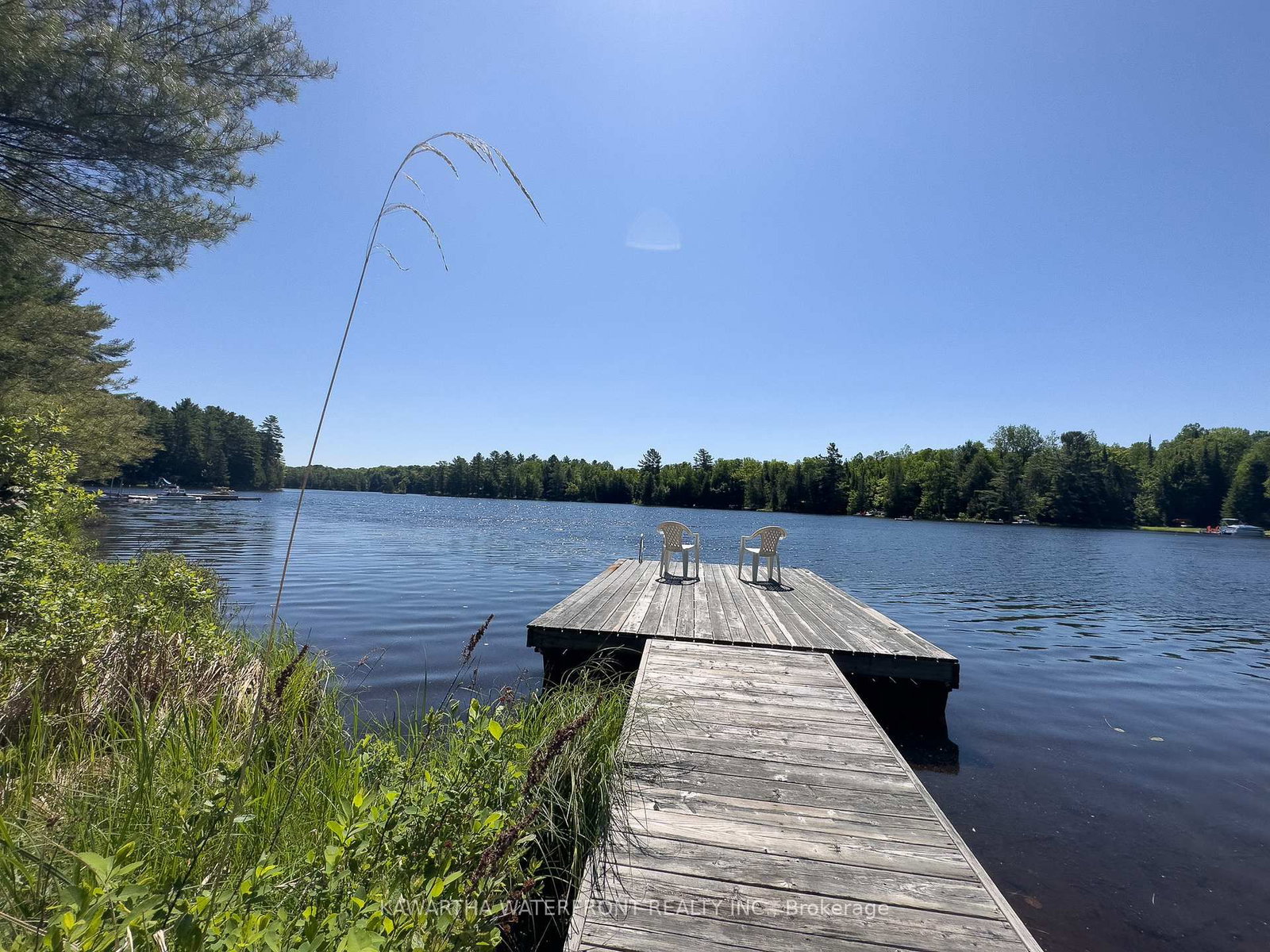 Listing Image 33