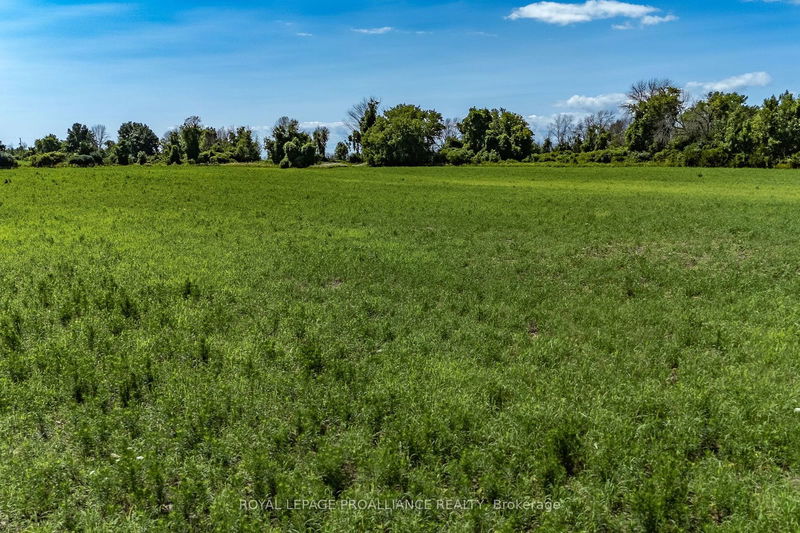 Lot 17 South Big Island Rd  Prince Edward County, K0K 1W0 | Image 22