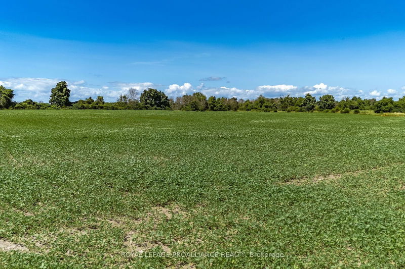 Lot 17 South Big Island Rd  Prince Edward County, K0K 1W0 | Image 29