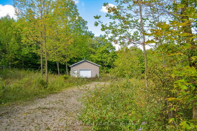 396436 2 Concession Rd, Chatsworth - Rural Chatsworth image-0-3