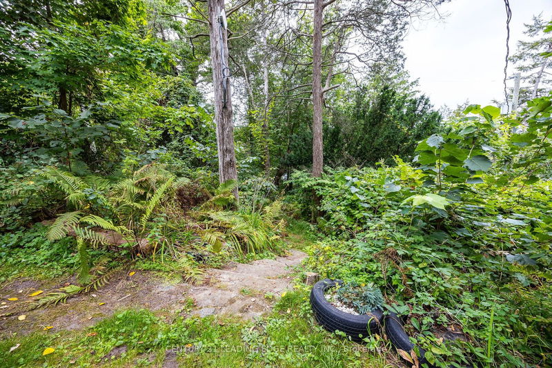 2385A COUNTY Rd 9 Rd  Greater Napanee, K7R 3K8 | Image 27