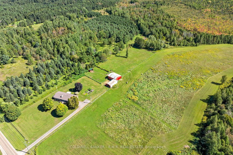 1076 Sandringham Rd  Kawartha Lakes, K0M 2T0 | Image 2