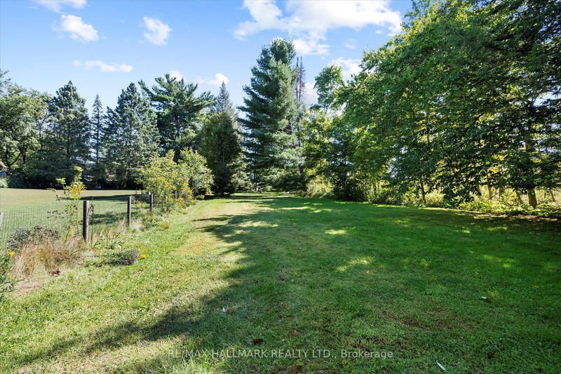 51 Concession St  Havelock-Belmont-Methuen, K0L 1Z0 | Image 36