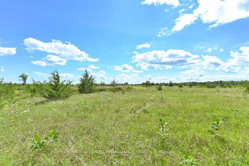 1575 Marysville Rd  Tyendinaga, K0K 2N0 | Image 5